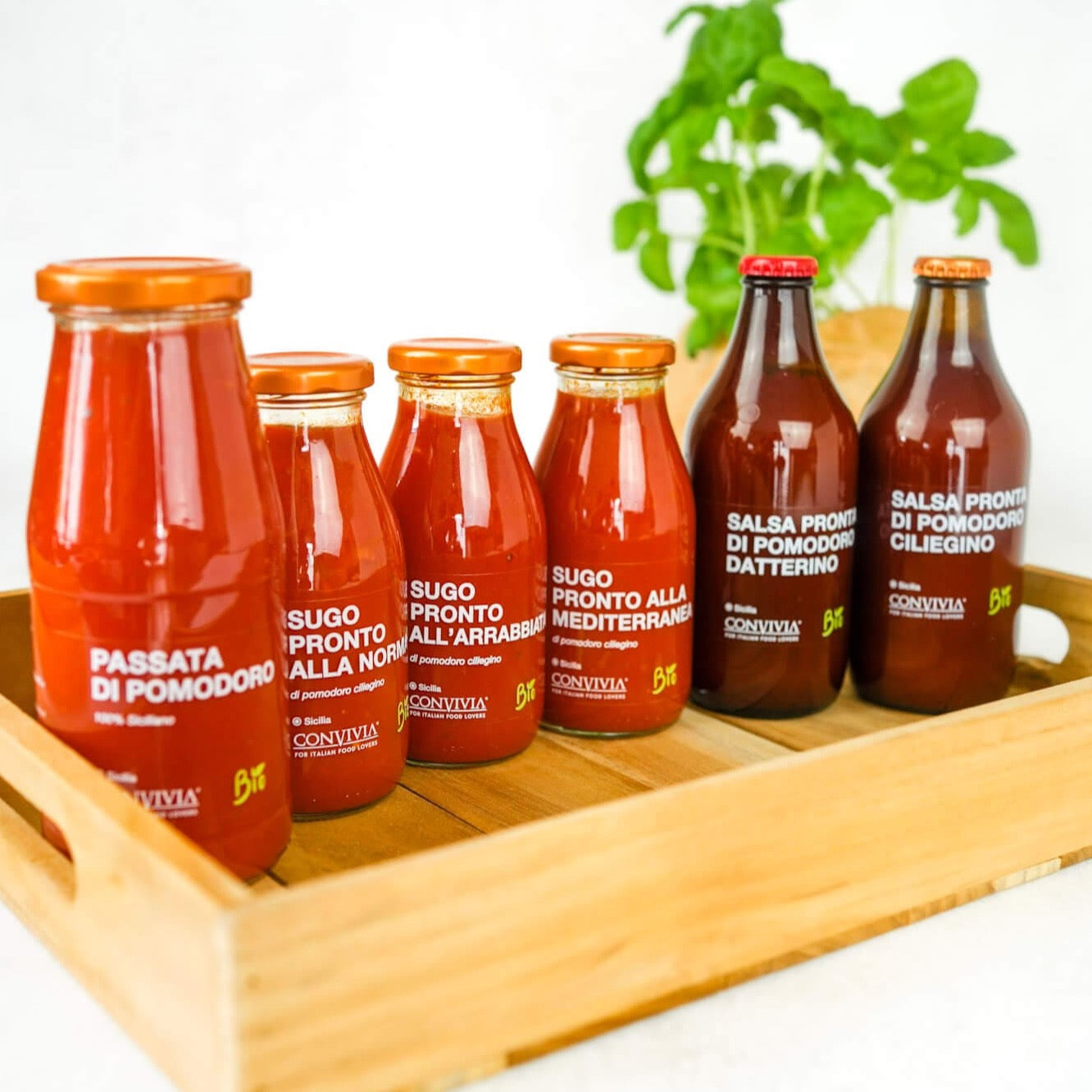 Verschiedene Sorten von Bio Tomatensaucen