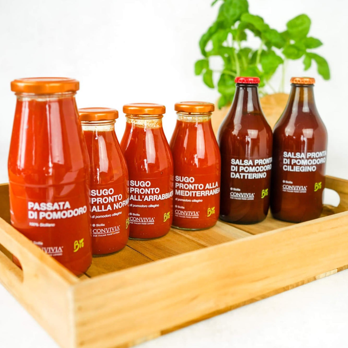 Große Auswahl von Tomatensaucen aus Italien. Alle Soßen haben Bio Qualität